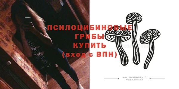 мяу мяу мука Карпинск