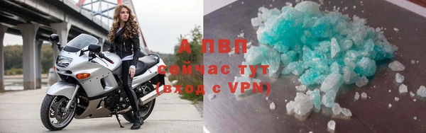 ГАЛЛЮЦИНОГЕННЫЕ ГРИБЫ Касимов