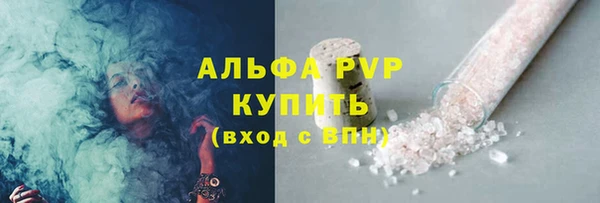 ГАЛЛЮЦИНОГЕННЫЕ ГРИБЫ Касимов