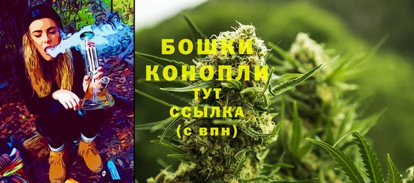 мяу мяу мука Карпинск