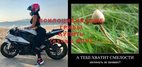 ГАЛЛЮЦИНОГЕННЫЕ ГРИБЫ Касимов
