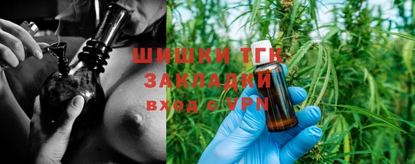 ГАЛЛЮЦИНОГЕННЫЕ ГРИБЫ Касимов